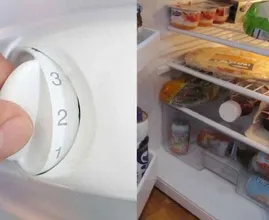Wir klären auf: Was ist denn nun die optimale Kühlschrank Temperatur?