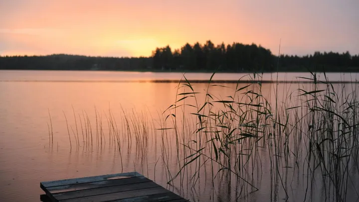 Déze parasiet komt steeds vaker voor in natuurwater in Zuid-Europa