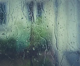 Het blijft de hele week nat en stormachtig: nu al veel stormschade