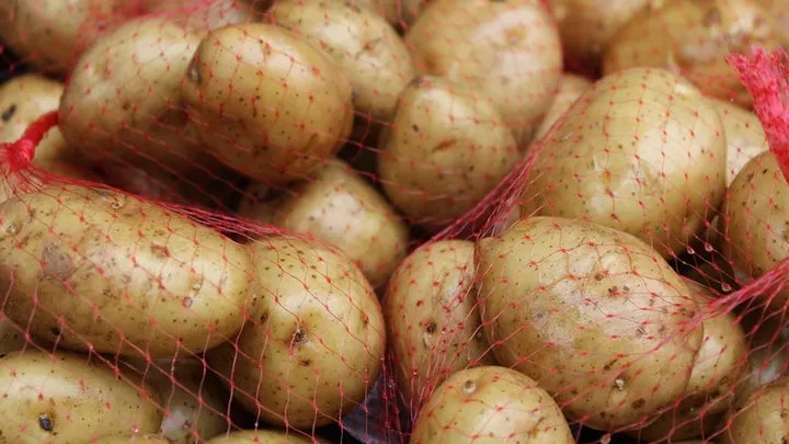 Feit of fabel: aardappels met groene plekken zijn giftig