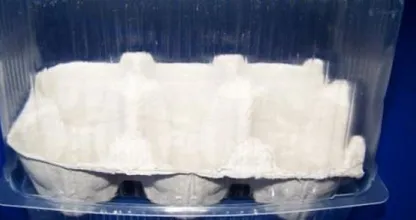 Mini Gewächshaus für kleine Pflänzchen selbstgemacht