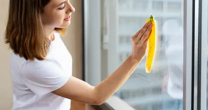これが、窓をバナナの皮で掃除すべき理由です