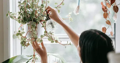 Zo helpen planten om mentaal gezond te blijven