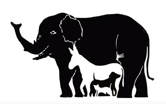 ¿Cuántos animales logras descubrir?