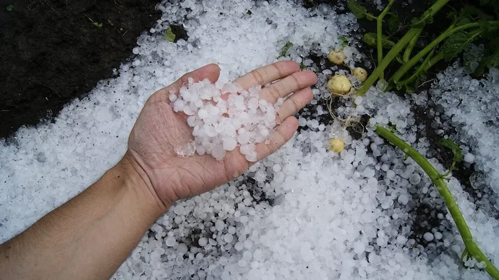 Vanavond code geel: van flinke windstoten tot 3 centimeter grote hagelstenen