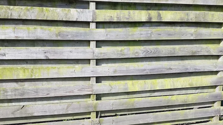 Deze 21 tuinhacks besparen je veel tijd en geld