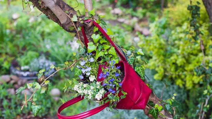 Notre top 14 des astuces géniales pour le jardin qui vous permettront d’économiser beaucoup d’argent et de temps