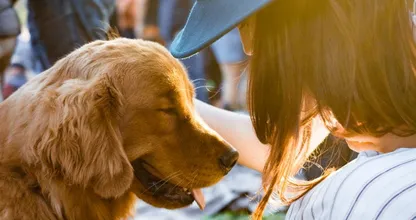 Do you talk to your pet regularly? It turns out this might be very good for your health