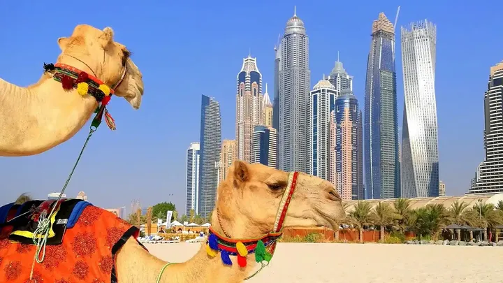 47 Gekke dingen die je alleen in Dubai vindt