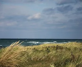 Herfststorm op komst: ‘Wind kan oplopen tot windkracht 8’