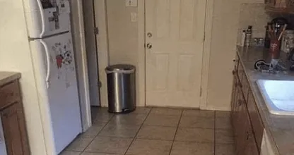 Kan jij hem vinden? Er schijnt een hond verstopt te zijn op deze foto