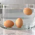 Does a floating egg mean it’s bad?  Here’s what food experts say it really means