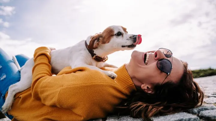 4 sterrenbeelden die stiekem meer van dieren dan van mensen houden