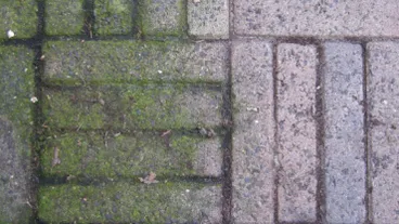 Onkruid verwijderen? Met deze truc duurt het niet lang meer! Super praktisch!