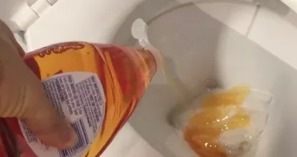 Voici une excellente raison de mettre du liquide vaisselle dans vos toilettes !