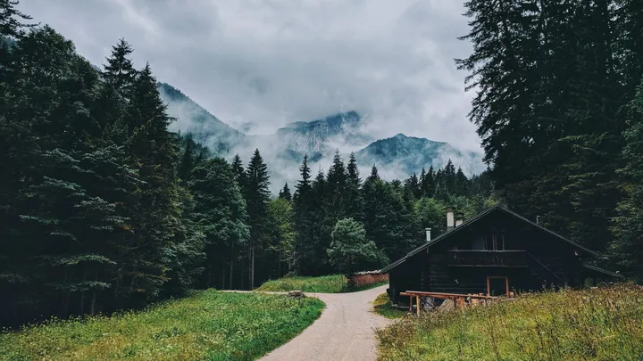 Bear Waves To Family Every Morning - One Day Dad Follows Him And Makes A Strange Discovery