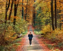 Sorprendente: caminar hacia atrás es bueno para la salud