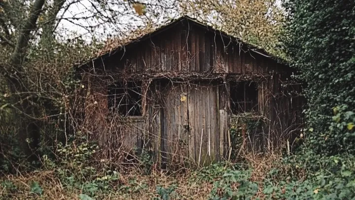 Diese ältere Frau wohnt in einem alten Schuppen - aber warten Sie, bis Sie das Innere sehen!