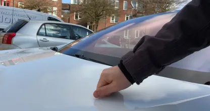 This is why you should knock on the hood of your car before you leave when it's cold out!