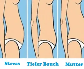 Dein Bauchtyp verrät dir so manches darüber wie und wodurch du abnimmst.