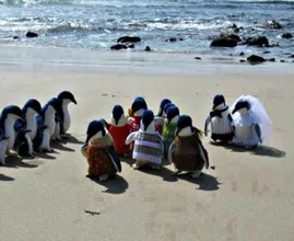 De 27 meest hilarische strandfoto's (een paar gaan te ver...)