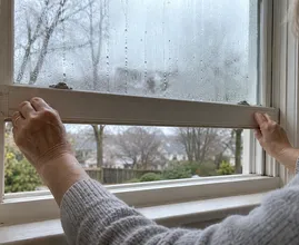 Jeden Morgen Wasser an Ihren Fenstern? Stellen Sie eine Schüssel davon auf die Fensterbank