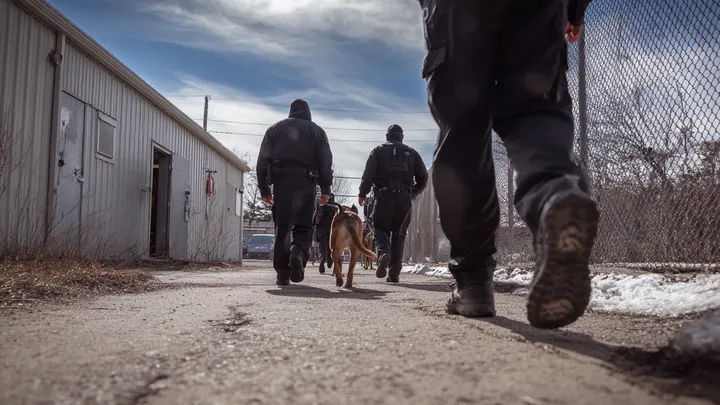 Abgelehnter Hund von jungem Mann ersteigert - dann entdeckt er die entsetzliche Wahrheit..