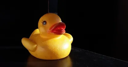 Außen gelb, innen Grün: Badeenten entpuppen sich als wahre Keimschleudern!