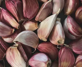 No more trouble peeling garlic with this easy hack