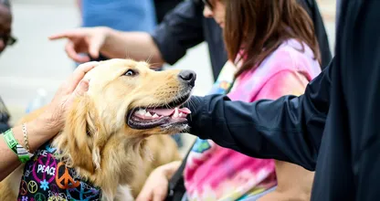 Waarom je de naam van je kind soms verwart met die van je hond