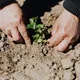 Ces 21 astuces de jardinage vous feront gagner beaucoup de temps et d'argent.