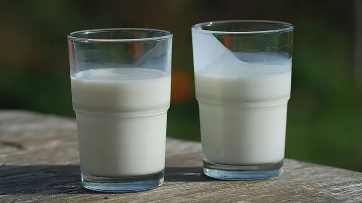 This is why you're better off eating full-fat dairy products instead of low-fat ones!