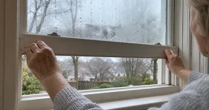 Ogni mattina trovi delle gocce d'acqua sui finestrini? Metti una ciotola di questo sul davanzale