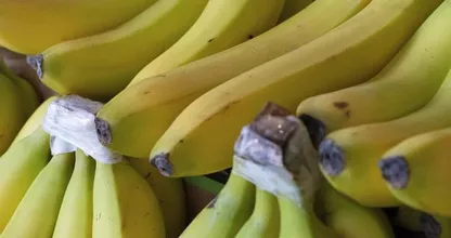 Madura los plátanos verdes en una hora con este simple truco