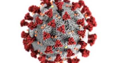 Dit is alles wat we nu weten over de mutatie van het coronavirus 