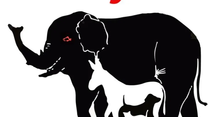 Wie viele Tiere entdeckst du? Kaum jemand kommt auf die richtige Anzahl.