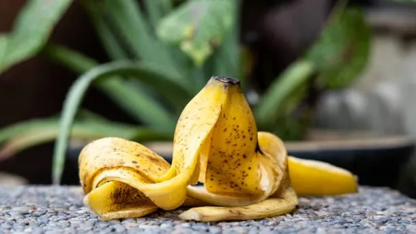 Notre top 14 des astuces géniales pour le jardin qui vous permettront d’économiser beaucoup d’argent et de temps