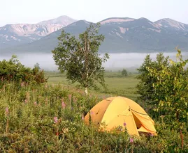 Mit diesen 4 Camping Hacks wirst du zum Profi auf dem Zeltplatz