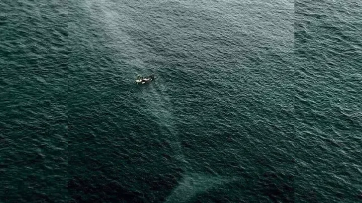 Brividi e emozioni: Foto incredibili da vedere due volte!
