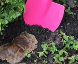 Poner las bolsitas de té usadas en el jardín tiene muchos beneficios