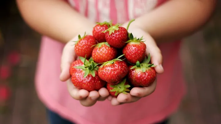 Aardbeien bewaren? Zo houd je ze het langst goed