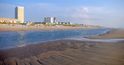 Vrouw die bij Zandvoort op dolfijn klom bedreigd en aangehouden