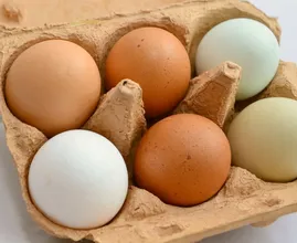 Enterrez un œuf dans une jardinière avec de la terre de rempotage et vous obtiendrez des résultats incroyables