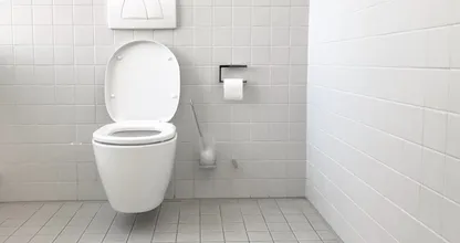 Offenbar ist es sehr gut, eine Knoblauchzehe in die Toilette zu werfen