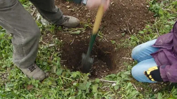 L'uomo scava un buco nel cortile e fa una scoperta straordinaria
