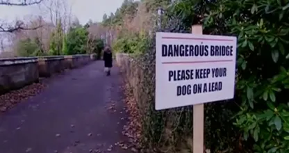 Groot mysterie rondom ‘zelfmoordbrug’ waar honderden honden vanaf sprongen