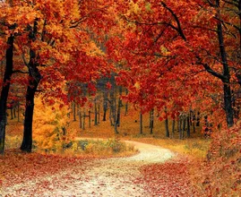 Dankzij warme herfst besparen we zo’n 7 euro per dag