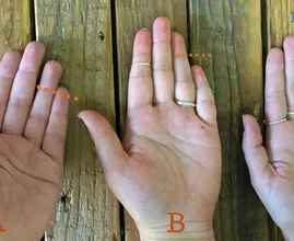 How long is your little finger compared to your ring finger? This is what it says about your personality!
