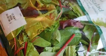 Kaufst du manchmal Salat aus der Tüte im Supermarkt? Lies dir das mal durch...