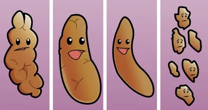 So sollte laut Gesundheits-Experten dein 'Stuhlgang' aussehen, wenn du gesund bist.